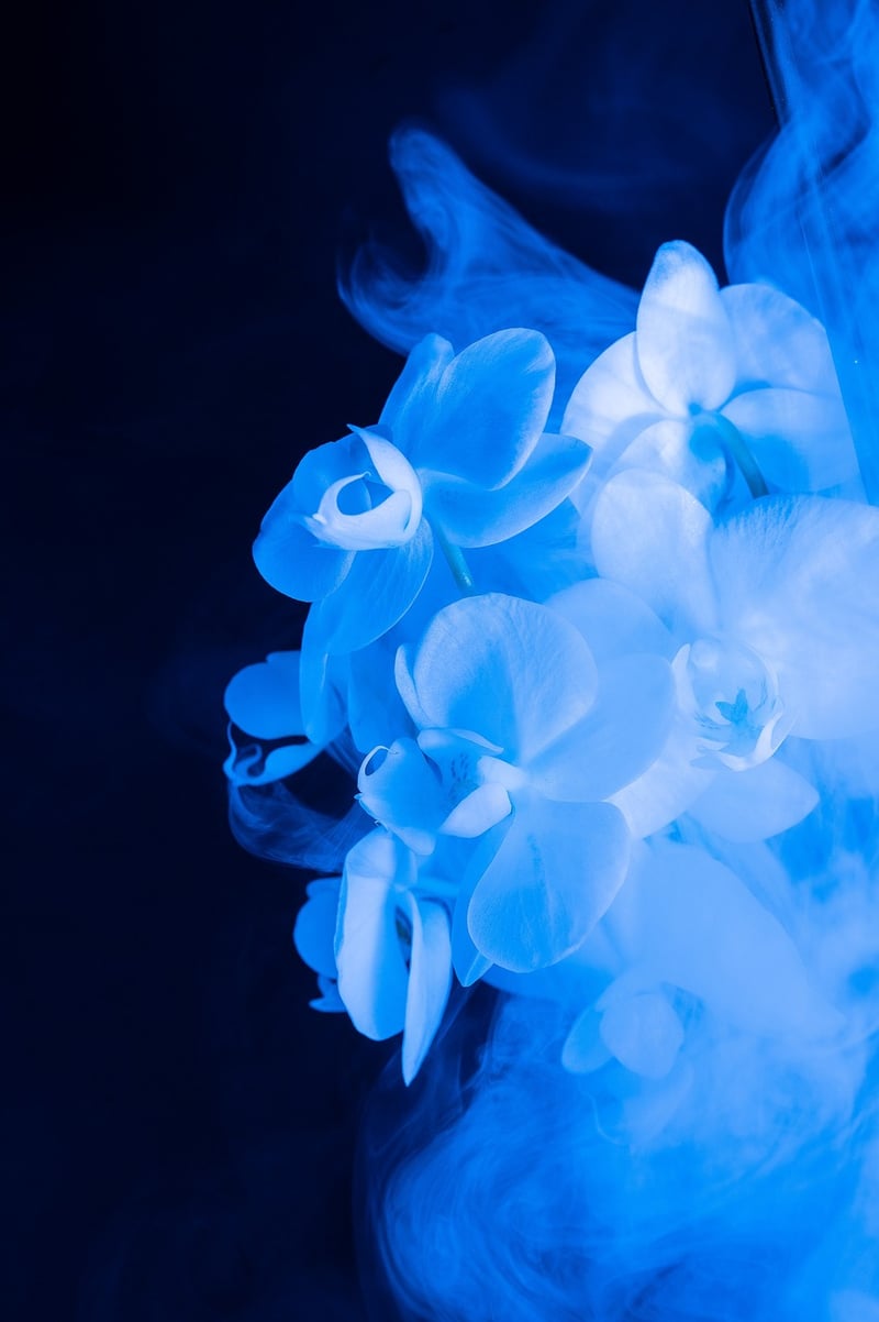 Fantasy petals