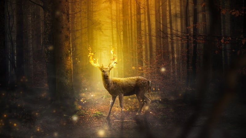 Enchanted Fauna